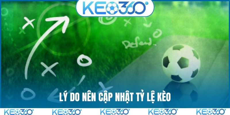 Lý do nên cập nhật tỷ lệ kèo