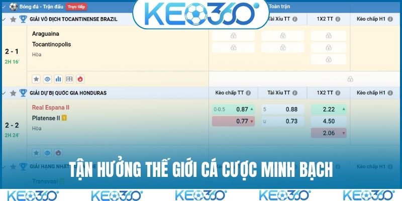 Tận hưởng thế giới cá cược minh bạch