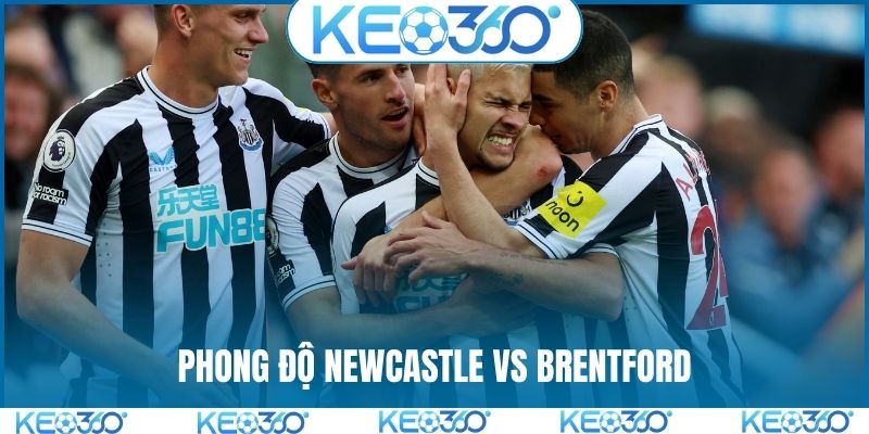 Dữ liệu phong độ trước khi soi kèo Newcastle vs Brentford