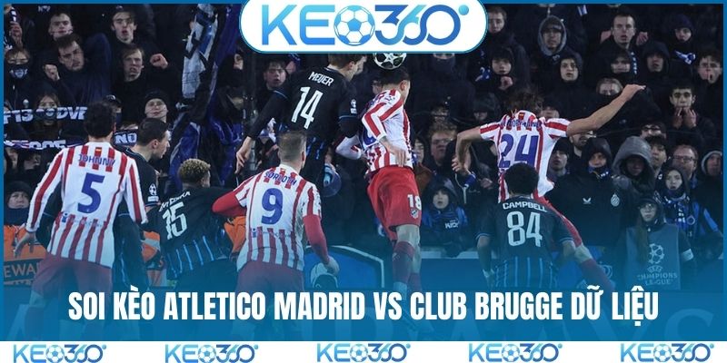 Soi kèo Atletico Madrid vs Club Brugge dữ liệu chung