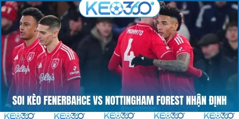 Soi kèo Fenerbahce vs Nottingham Forest và nhận định chung