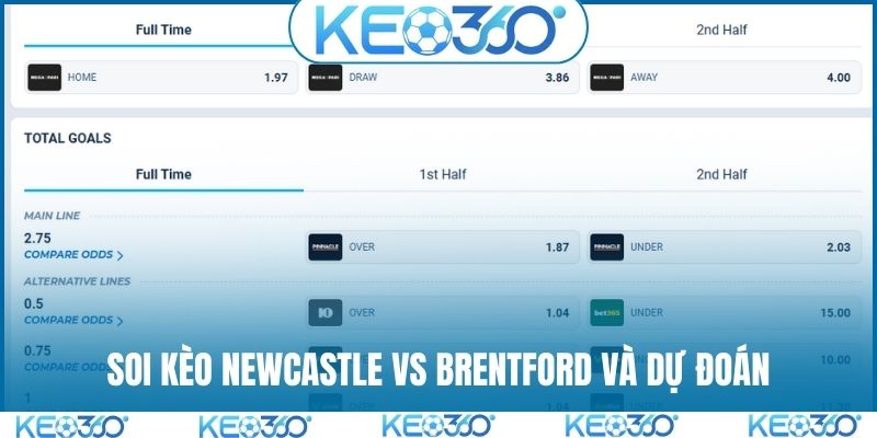 Soi kèo Newcastle vs Brentford và dự đoán chi tiết