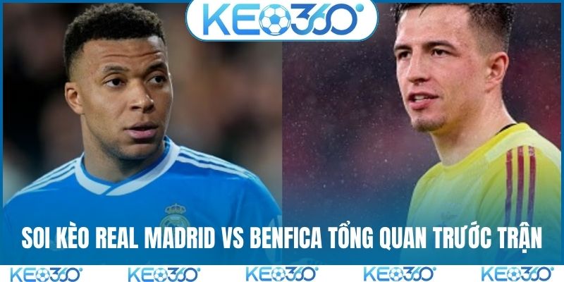 Soi kèo Real Madrid vs Benfica tổng quan trước trận